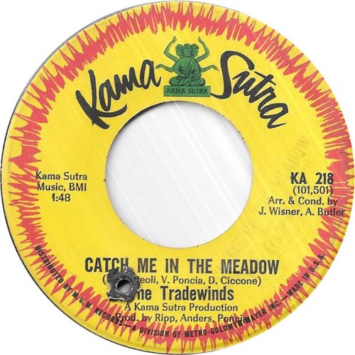 Catch Me in the Meadow