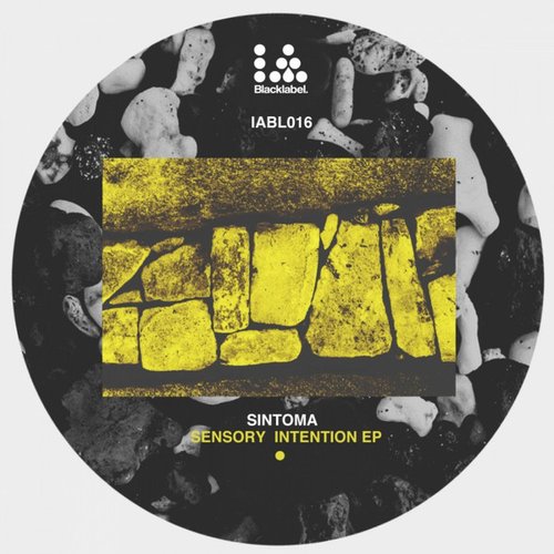 Sensory Intention - Single