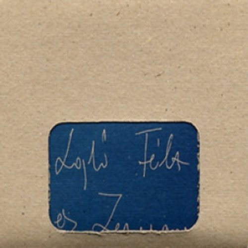 Lajk Flix s Zenekara