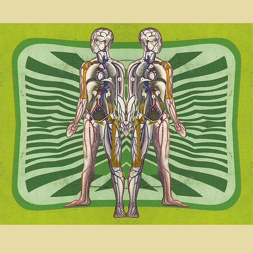 Muzika Electronic
