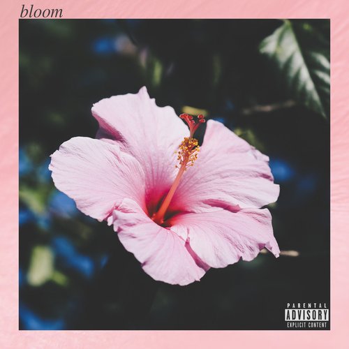 Bloom