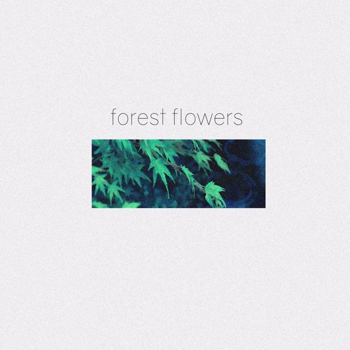 Forest Flowers
