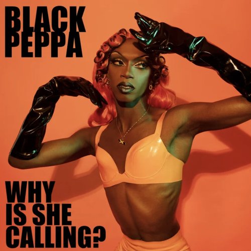 Why Is She Calling? - Single