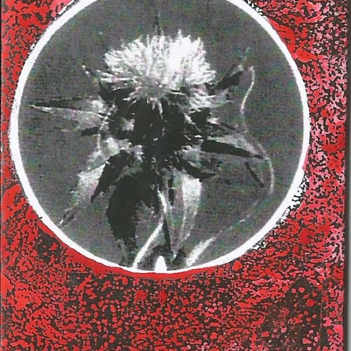 Adelaide Tour Cassette