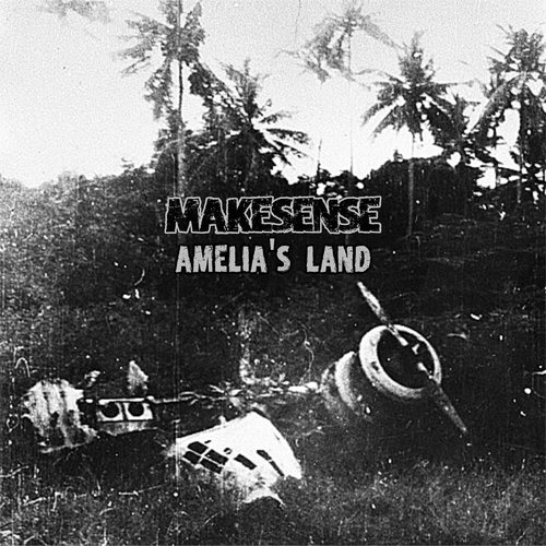 Amelia's Land