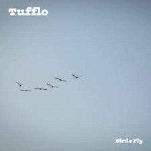 Birds Fly