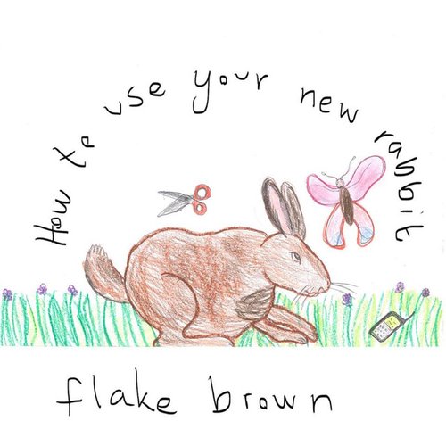 How to Use Your New Rabbit