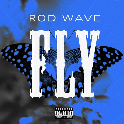 Fly