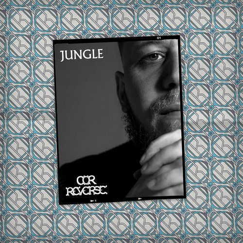 Jungle - Single
