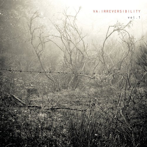 Irreversibility Vol. 1