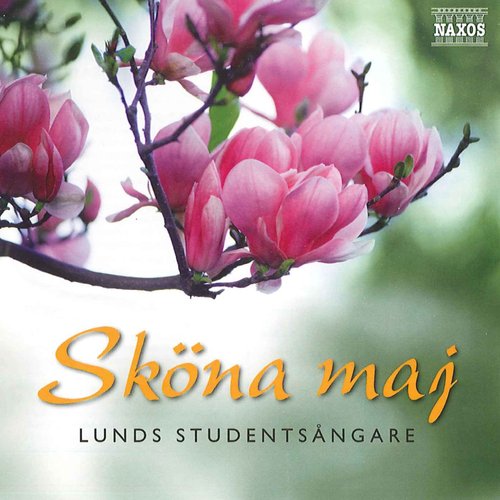 Sköna Maj