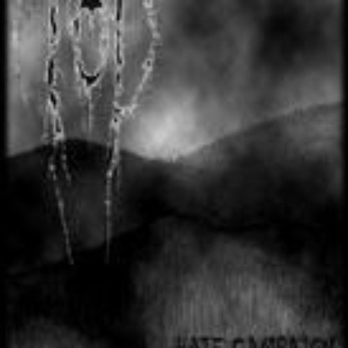 Hate Campaign