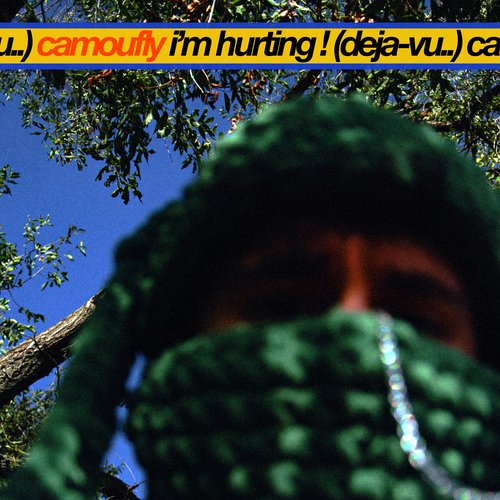 I'm Hurting (Deja - Vu..) - Single
