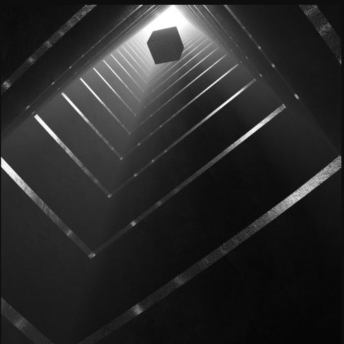 Primordium
