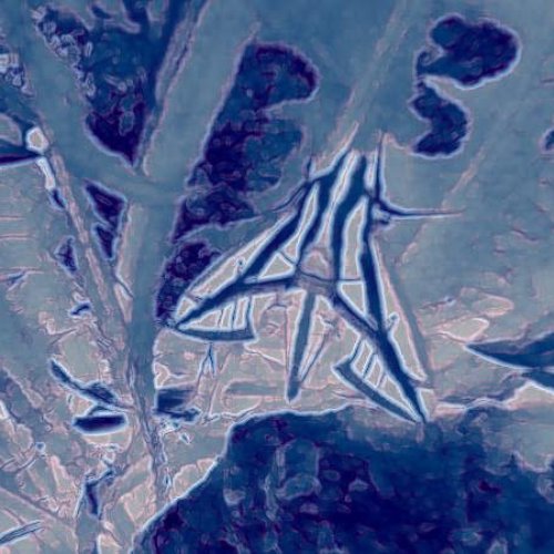 Demo