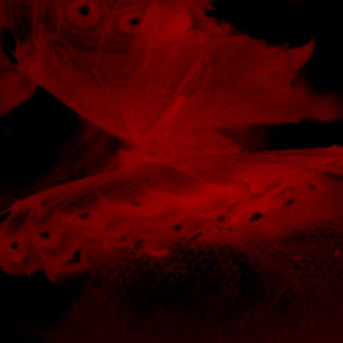 Vol. 1: We're still made of death [Explicit]