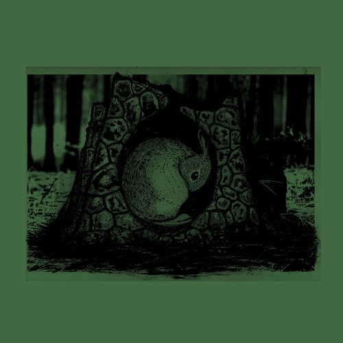 EARTHRISE//GAIA