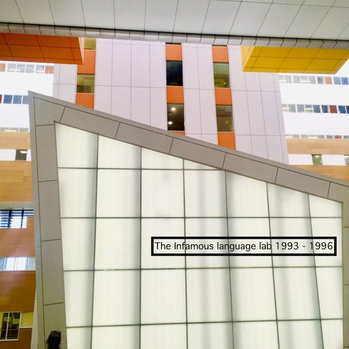 The Infamous Language Lab