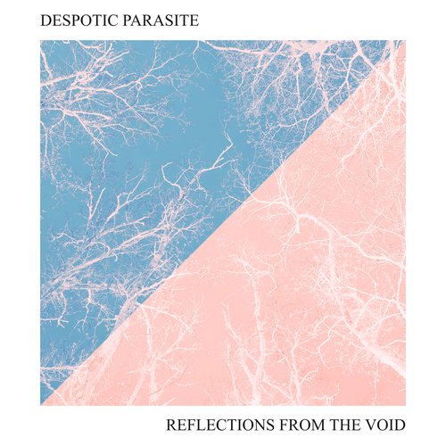 Reflections From The Void
