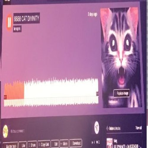 888cat divinity