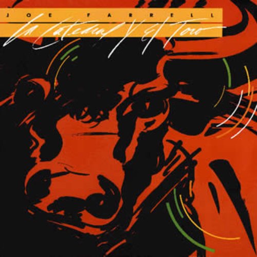 La Catedral Y El Toro