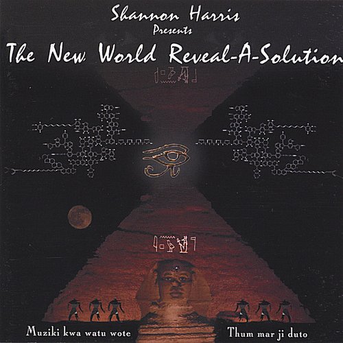 The New World Reveal-A-Solution