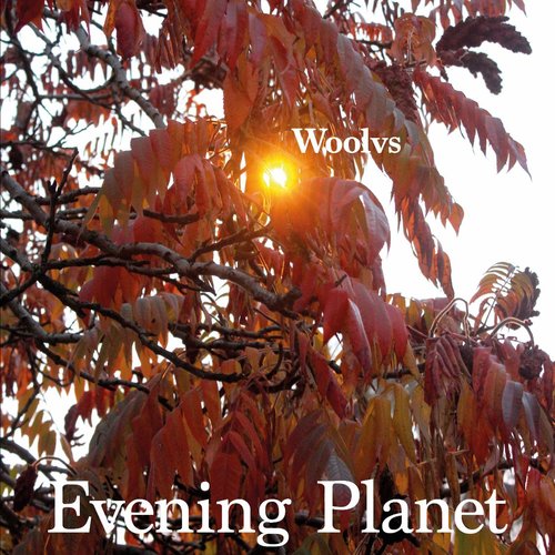 Evening Planet