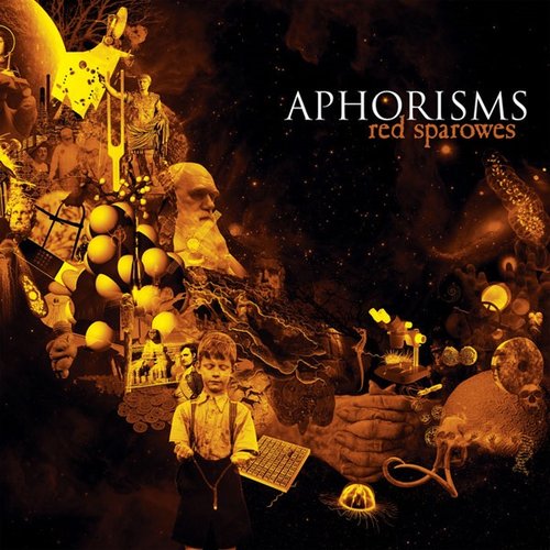 Aphorisms - Single