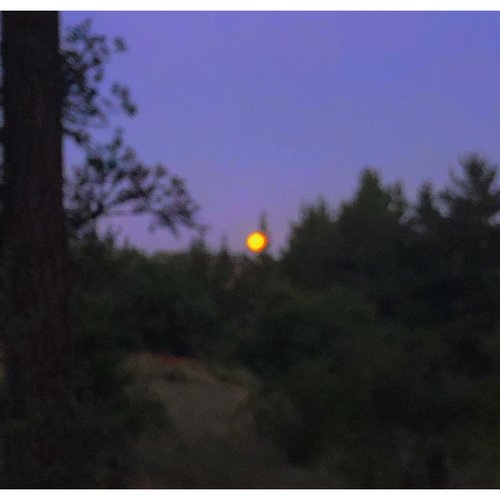 Golden Hour - Single