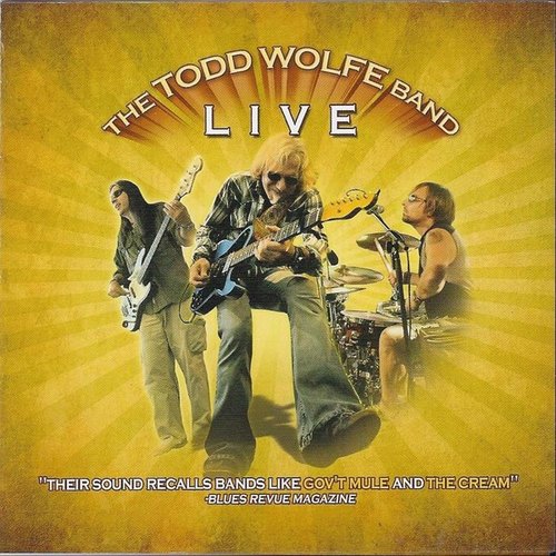 The Todd Wolfe Band Live