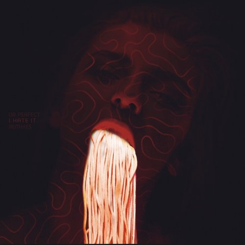 Ur Perfect I Hate It (Remixes)