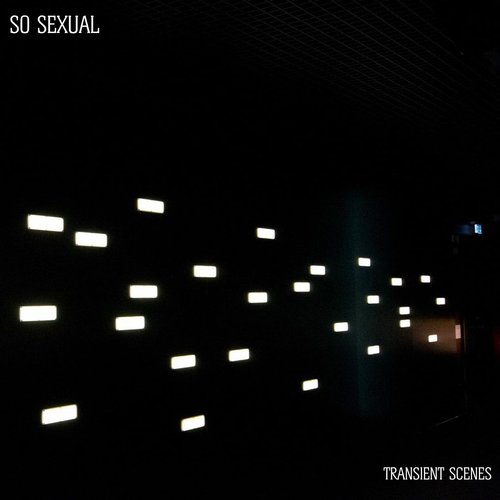 Transient Scenes
