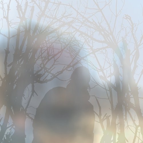Wwwords - Single
