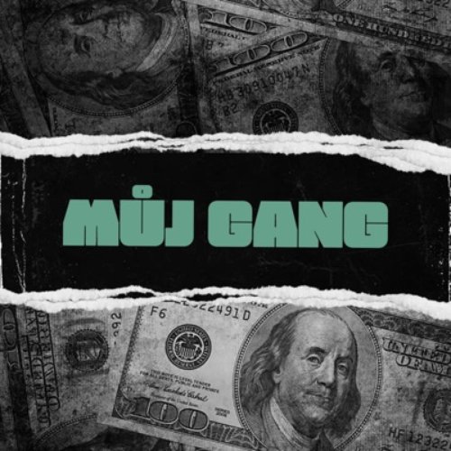 Můj Gang - Single