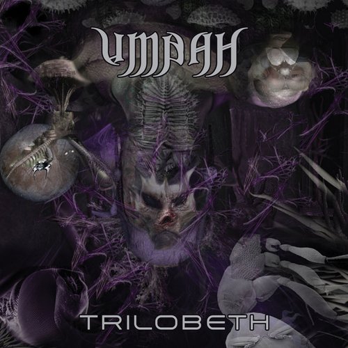 Trilobeth