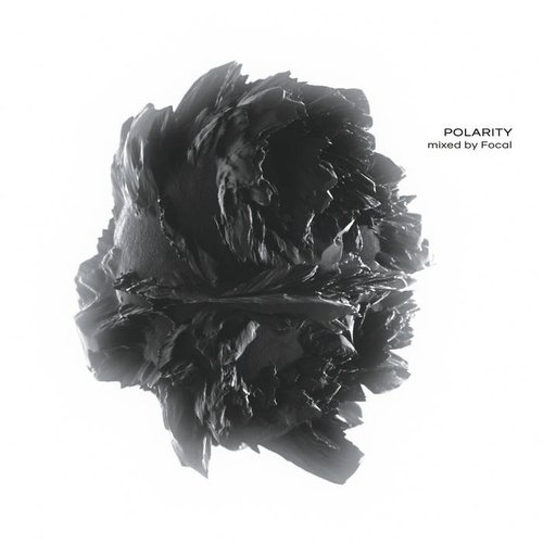 POLARITY