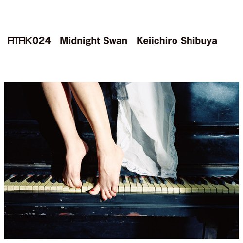 ATAK024 Midnight Swan