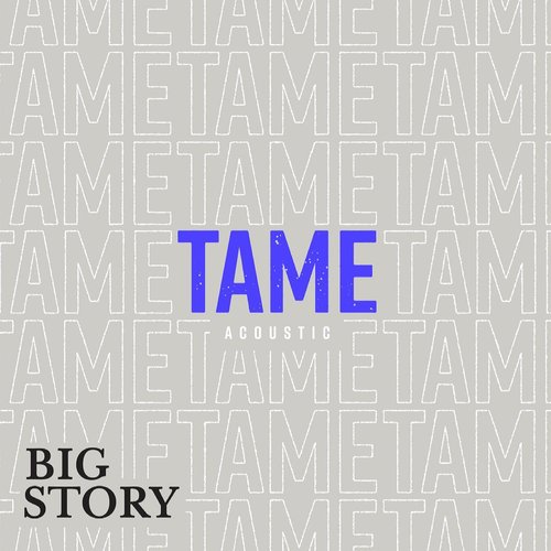 Tame (Acoustic)