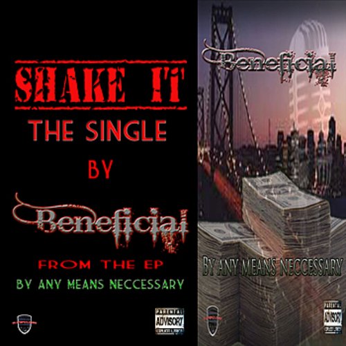Shake It - Single