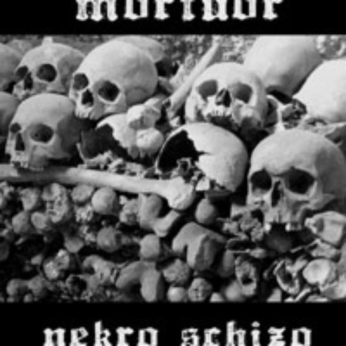 Nekro Schizo