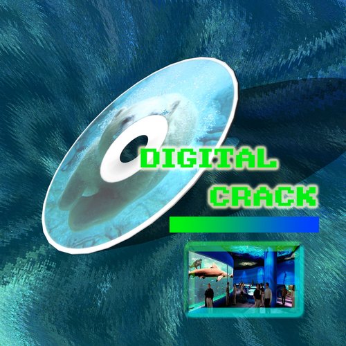 Digital Crack