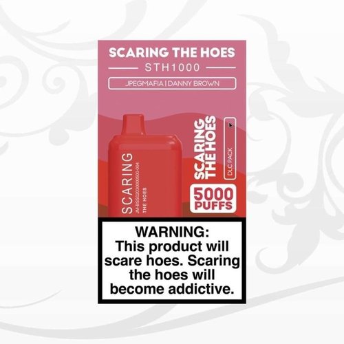 Scaring The Hoes: DLC pack (EP)
