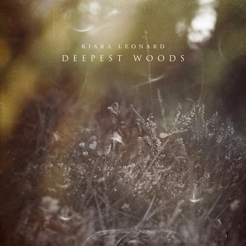 Deepest Woods