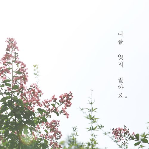 나를 잊지 말아요 Don't forget me
