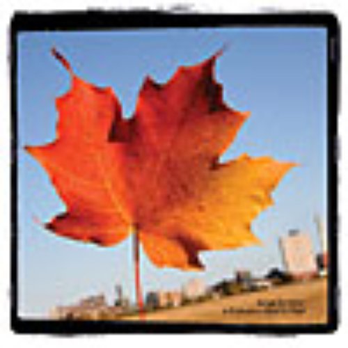 Songs For Eric: A Tribute To Eric's Trip