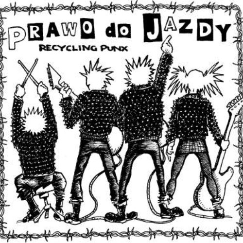 Recycling Punx