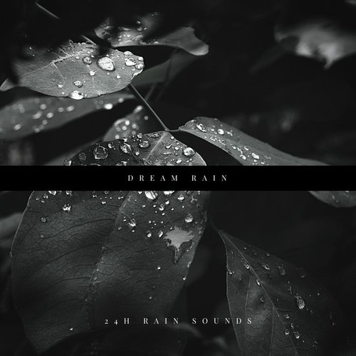 Dream Rain - Single