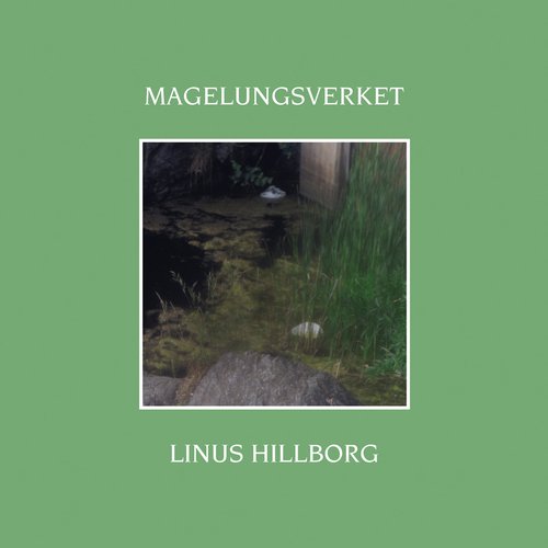 Magelungsverket