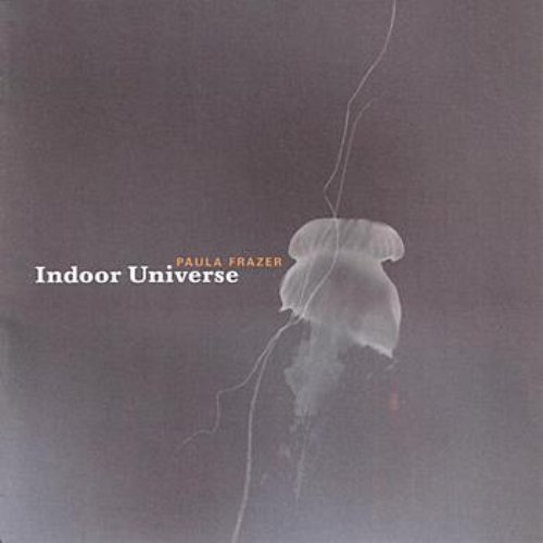 Indoor Universe