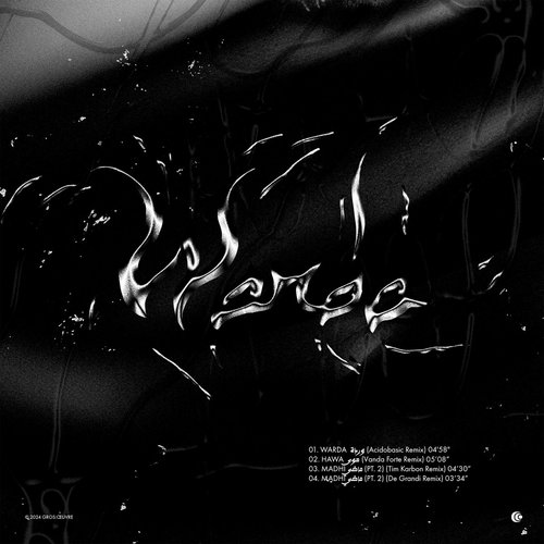 Warda وردة (Acidobasic Remix)